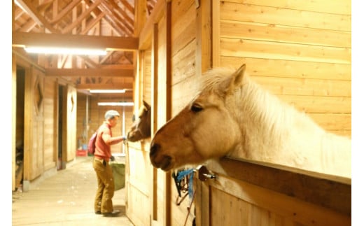 「アファンホースロッジ」ふれあい体験プログラム利用券5,
