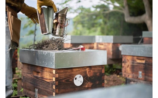 BIYAJIMA BEE FARM『季節の完熟生はちみつ 一瓶100g（1個）』北信