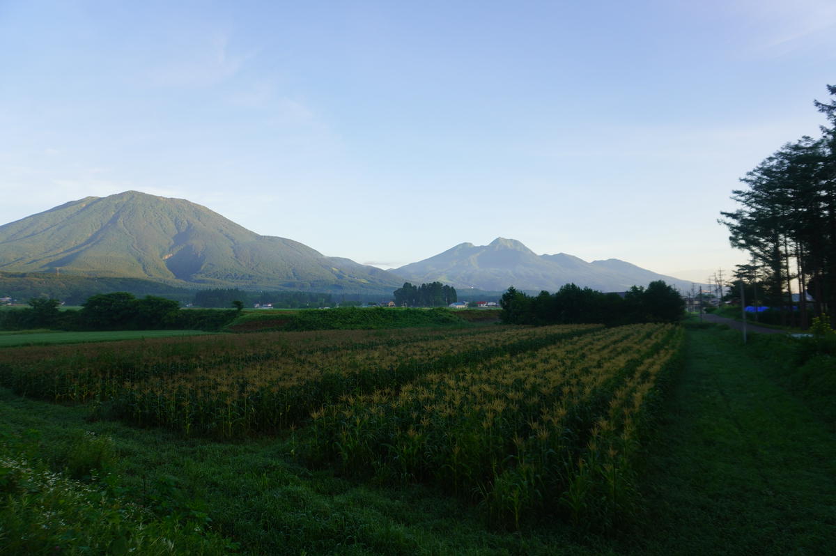 2026年夏の早期予約受付開始！ナツビ農園『どきどきコーン