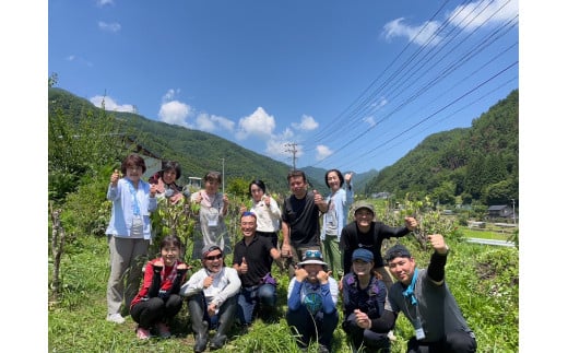 黒姫和漢薬研究所「自社栽培 杜仲茶30包」2個セット｜【長