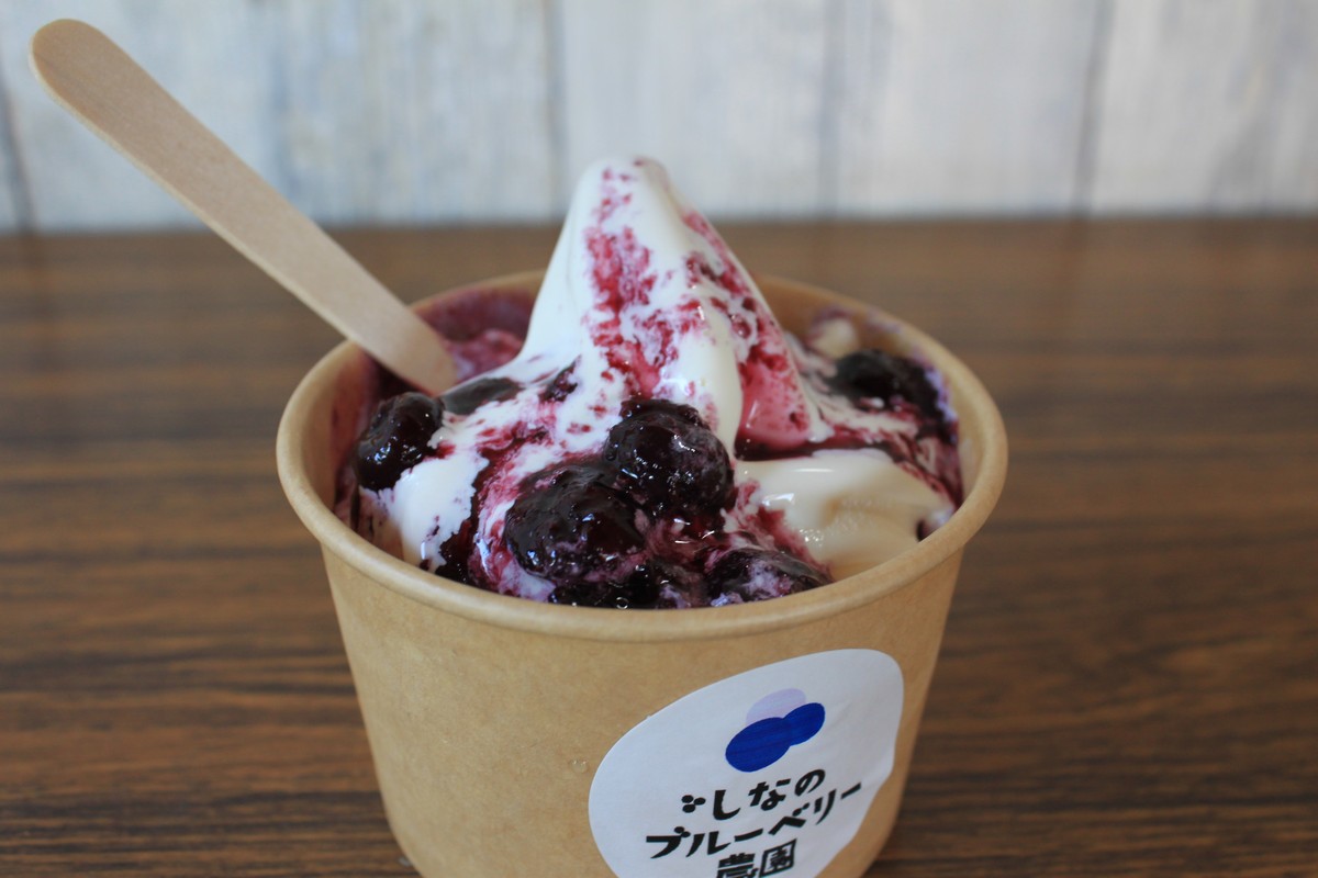 しなのブルーベリー農園「ブルーベリージャム」 150g×3個セ