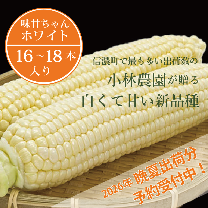 2026年夏の予約受付開始！小林農園の白くて甘いとうもろこ