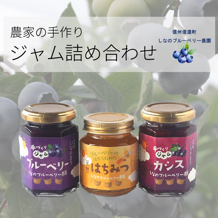 しなのブルーベリー農園「信濃町産ジャム詰め合わせ」 ブ