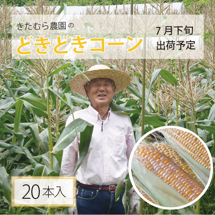 きたむら農園『どきどきコーン』×20本セット（約8～8.5kg相