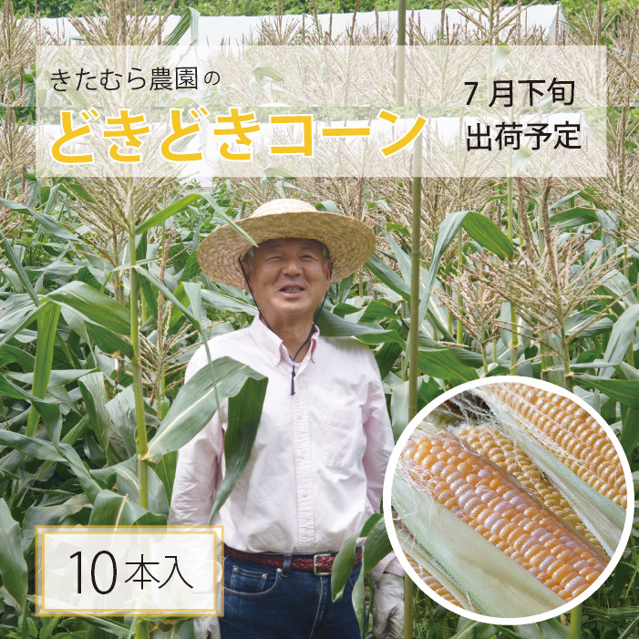 2026年夏の早期予約受付開始！きたむら農園『どきどきコー