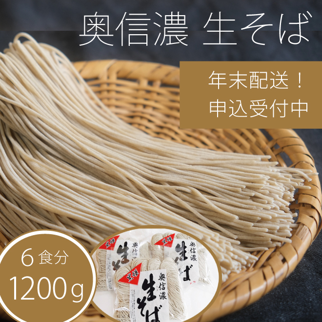 麺類ANAのふるさと納税