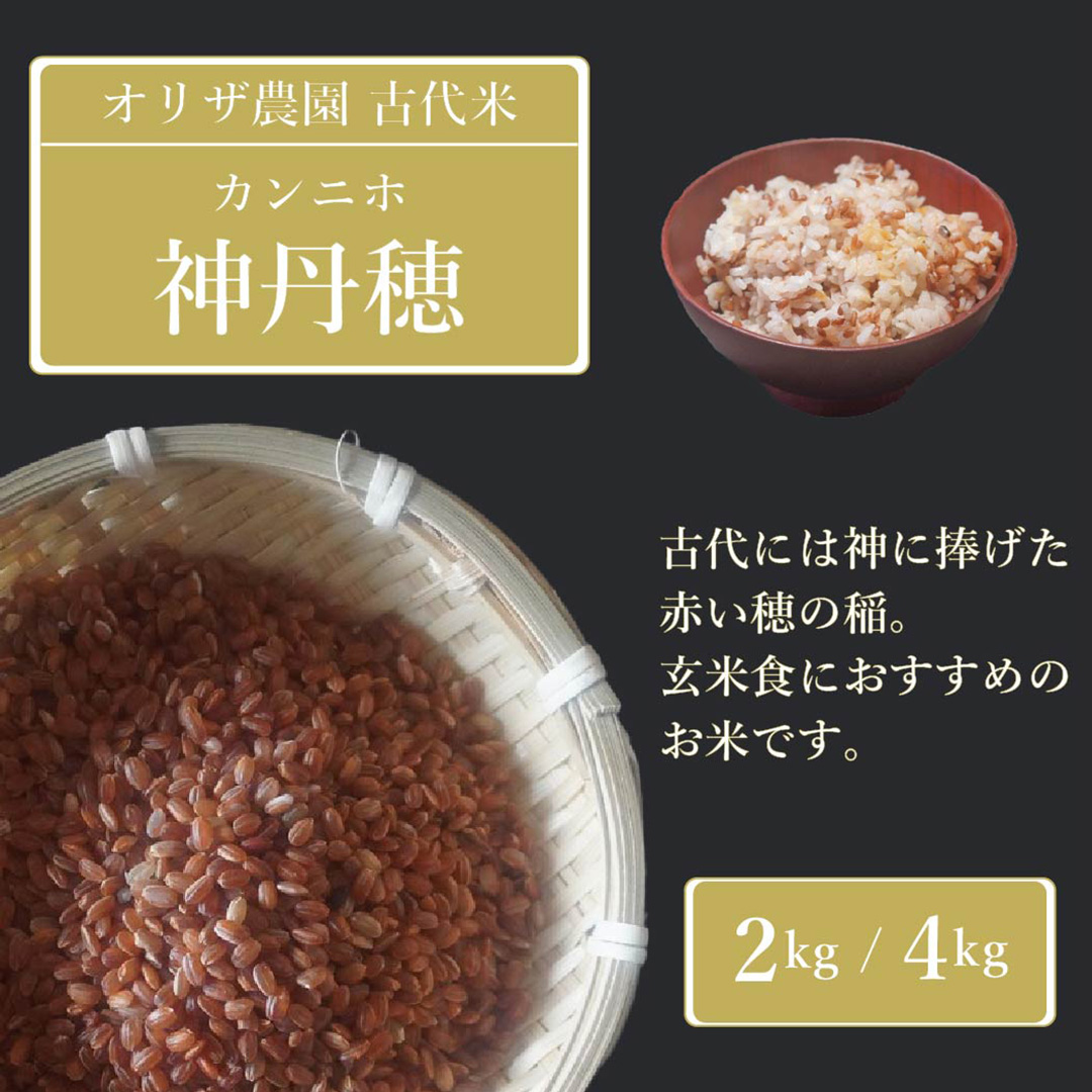 【ふるさと納税】残りわずか！オリザ農園 自然栽培の古代