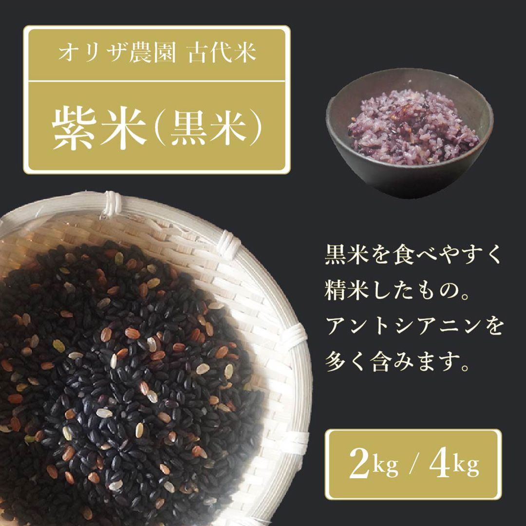 【ふるさと納税】オリザ農園 自然栽培の古代米「紫米(黒米