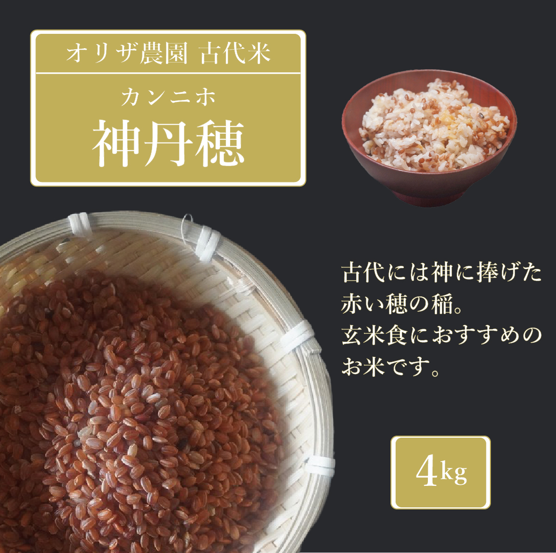 【ふるさと納税】オリザ農園 自然栽培の古代米「神丹穂(カ