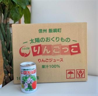 無添加 りんごっこジュース 1ケース ： 160g × 20本 入り 果汁100％ りんごジュース 飲みきりサイズ 沖縄県への配送不可  長野県 飯綱町 [1522]