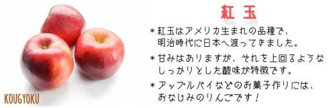 りんご 紅玉 秀 ～ 特秀 4.5kg （～23玉） ヒライ農園 沖縄県への配送不可 2025年10月上旬頃から2025年10月中旬頃まで順次発送予定 令和7年度収穫分 信州の環境にやさしい農産物認証 減農薬栽培 長野県 飯綱町 [0362]