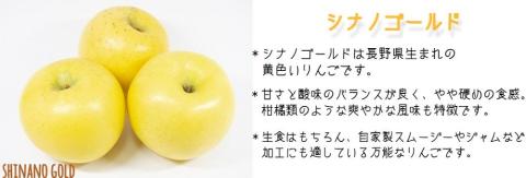 りんご シナノゴールド 特選 5kg やまじゅうファーム 沖縄県への配送不可 2025年11月上旬頃から2025年11月下旬頃まで順次発送予定 令和7年度収穫分 信州の環境にやさしい農産物 減農薬栽培 長野県 飯綱町 [0855]