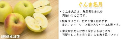 りんご ぐんま名月 特選 5kg やまじゅうファーム 沖縄県への配送不可 2025年11月下旬頃から2025年12月上旬頃まで順次発送予定 令和7年度収穫分 信州の環境にやさしい農産物 減農薬栽培 長野県 飯綱町 [0528]