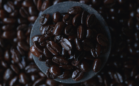 自家焙煎 コーヒー豆 100g 消灯珈琲 自家栽培 無農薬栽培豆使用 ネコポスにてお届け 長野県 飯綱町 [1607]