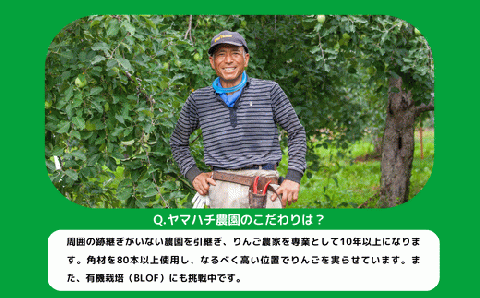 米 こしひかり 5kg × 12回 【 12か月 定期便 】( 令和7年産 ) ヤマハチ農園 沖縄県への配送不可 2025年11月上旬頃から順次発送予定 コシヒカリ 白米 精米 お米 信州 168000円 予約 農家直送 長野県 飯綱町 [1618]