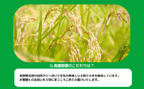 米 こしひかり 10kg ( 令和5年産 ) 高橋商事 沖縄県配送不可 2023年11月上旬～順次発送 コシヒカリ 白米 精米 お米 信州 19500円 予約 農家直送 長野県 飯綱町 [0838]