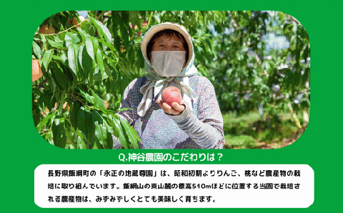 りんご シナノゴールド 秀 ～ 特秀 5kg 永正の地蔵尊神谷農園 沖縄県への配送不可 2024年11月中旬頃～2024年12月下旬頃まで順次発送予定 令和6年度収穫分 長野県 飯綱町 [1253]