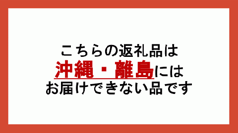 りんご 農家応援企画 サンふじ 家庭用 10kg （ 小玉 ） ※沖縄および離島への配送不可 長野県 飯綱町 [0957]
