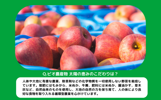 野菜 太陽の野菜セット 【 季節ごと旬の野菜 】 配送先は本州限定 クール便 2025年7月上旬頃から2025年11月上旬頃まで順次発送予定 ビオ農産物 太陽の恵み ( 化学肥料 除草剤 不使用 ) 長野県 飯綱町 [0009]