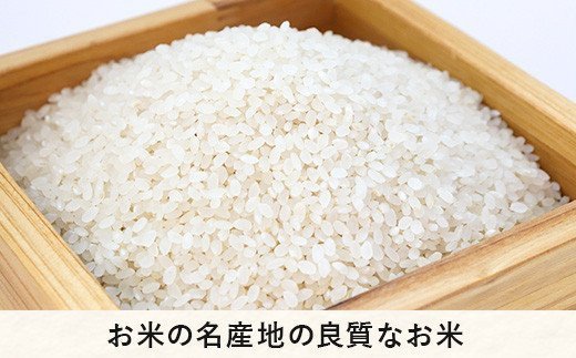 【 特A一等米 / コシヒカリ 】 精米 こしひかり 5kg ( 令和7年産 ) ふるさと振興個社 2025年11月上旬頃から順次発送予定 コシヒカリ 白米 精米 お米 信州 予約 農家直送 長野県 飯綱町 [0154]