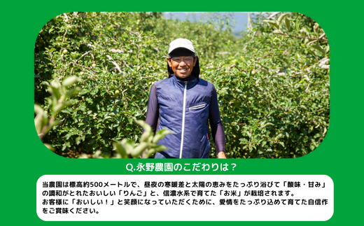 米 こしひかり 無洗米 5kg ( 令和7年産 ) 沖縄県への配送不可 2025年10月上旬頃から順次発送予定 永野農園 コシヒカリ 白米 精米 お米 信州 予約 農家直送 長野県 飯綱町 [0435]