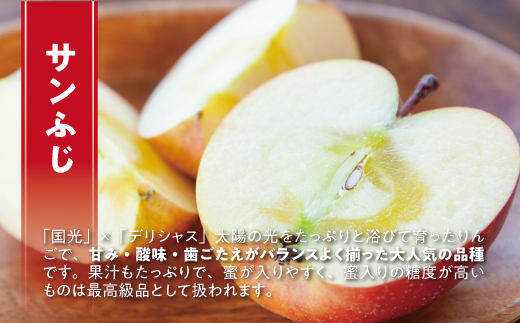 りんご サンふじ 特選 10kg やまじゅうファーム 2025年12月上旬頃から2025年12月中旬頃まで順次発送予定 令和7年度収穫分 信州の環境にやさしい農産物 減農薬栽培 長野県 飯綱町 [0535]