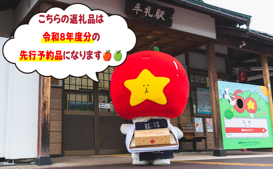 りんご サンつがる 家庭用・訳あり3kg  農家応援企画 【令和8年度収穫分】※沖縄県への配送不可 ※2026年8月下旬頃から9月中旬頃まで順次発送予定 長野県飯綱町[0786]