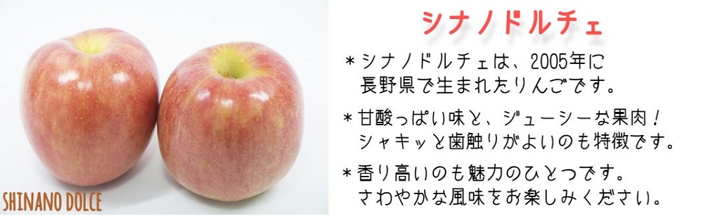 りんご シナノドルチェ 秀 ～ 特秀 3kg 菅谷さんのりんご 沖縄県への配送不可 2025年9月下旬頃から2025年10月上旬頃まで順次発送予定 令和7年度出荷分 長野県 飯綱町 [0790]