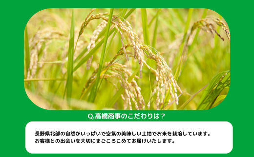 [0842]【令和6年度収穫分】信州飯綱町産 こしひかり 10kg　※沖縄県への配送不可　※2024年11月上旬頃から順次発送予定　長野県飯綱町