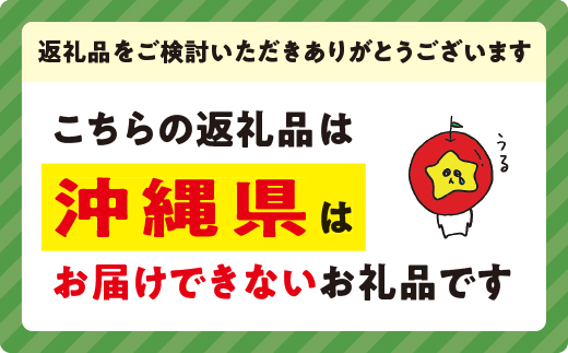 りんご サンふじ 訳あり 5kg 永野農園 沖縄県への配送不可 2025年12月上旬頃から2026年2月上旬頃まで順次発送予定 令和7年度収穫分 信州 果物 フルーツ リンゴ 林檎 長野 予約 農家直送 長野県 飯綱町 [1250]