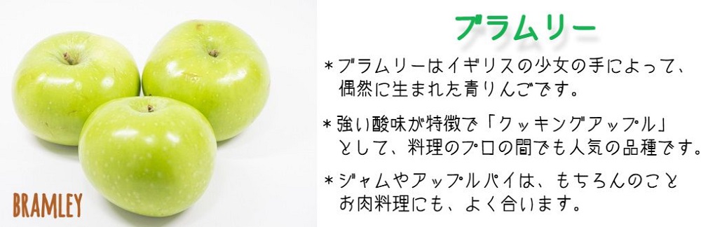 【 すっぱいりんご 】 りんご ブラムリー 訳あり 5kg 沖縄県への配送不可 クッキングアップル 2025年8月下旬頃から2025年9月下旬頃まで順次発送予定 ふるさと振興公社 リンゴ 林檎 長野県 飯綱町 [1561]