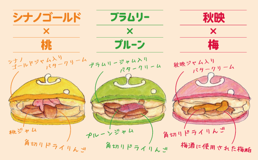 マカロン 3個セット 長野県 飯綱町産 フルーツ使用 配送先は本州限定〔 お菓子 菓子 スイーツ りんご アップル 8000円 〕[1888]