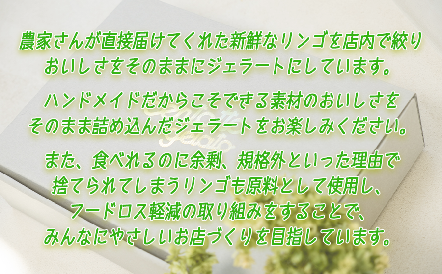 【 冷凍便 】 リンゴジェラート 110cc カップ入り ✕ 6点 りんご ジェラート 6個 セット 沖縄県への配送不可 チェントットジェラート Centotto Gelato りんご 林檎 ジェラート アイス 信州 14500円 長野県 飯綱町 [1900]