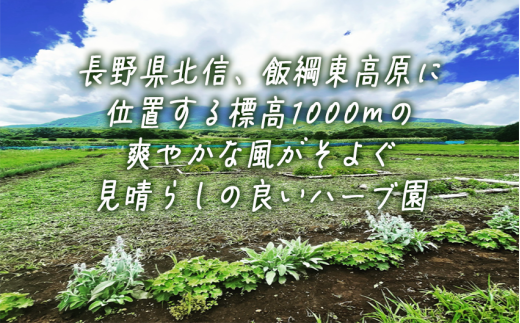 《自然に学ぶ》ハーブ体験（ペア）実施機関：6月中旬～10月末 長野県 飯綱町 [1925]