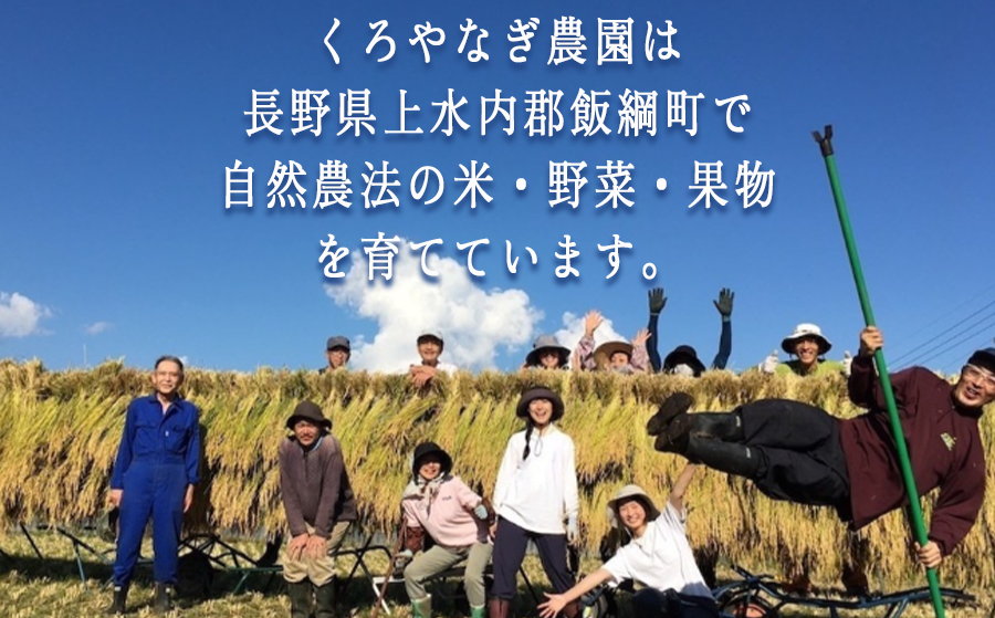 野菜お楽しみ便（5種以上）くろやなぎ農園 沖縄県への配送不可 発送時期：2025年7月上旬～2025年11月下旬 [1983]