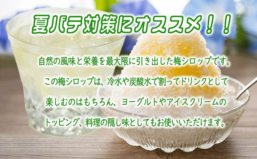 梅シロップ 1000mL × 3本 ふるさと振興公社 沖縄県への配送不可  長野県産 梅 シロップ 長野県 飯綱町 [1873]