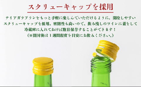 サンクゼール ナイアガラブラン （2022） 720ml × 1本 沖縄県への配送不可 ナイアガラ 白ワイン 長野県 飯綱町 [1603]