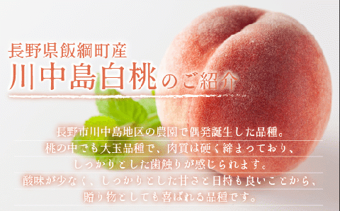 桃 川中島白桃 5kg 先行予約 2025年 秀品 光センサー選果 【 もも モモ 予約 白桃 果物 くだもの フルーツ 旬 ギフト 贈答 長野 信州 26000円 26000 令和7年 [0054]