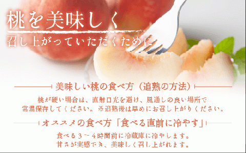 桃 5kg 先行予約 2025年 グルメ 品種おまかせ 白鳳 , あかつき , なつっこ , いずれか1品種 光センサー選別品 沖縄県への発送不可 2025年8月上旬～下旬発送 長野 飯綱 [0057]
