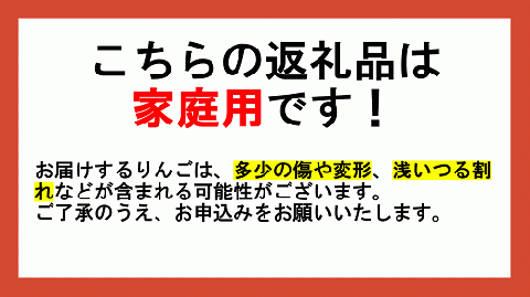 りんご 農家応援企画 冬のりんご 【 12月 】 訳あり ? 家庭用 3kg ※2022年12月より順次発送予定 ※沖縄および離島への配送不可 長野県 飯綱町 [1115]