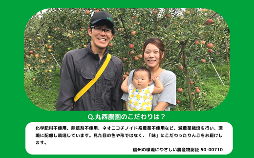 米 こしひかり 5kg × 6回 【 6か月 定期便 】( 令和7年産 ) 丸西農園 沖縄県への配送不可 2025年11月上旬頃から順次発送予定 コシヒカリ 白米 精米 お米 信州 72000円 予約 農家直送 長野県 飯綱町 [1683]