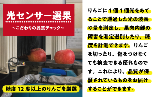 【12月11日締切】りんご サンふじ 5kg （12～25玉） 訳あり 「 いいづな光選りんご 」 光センサー選果 2024年 令和6年 収穫分  R6年12月～R7年1月発送 長野県 飯綱町 いいづな 光選 りんご《沖縄県への配送不可》 [1903]