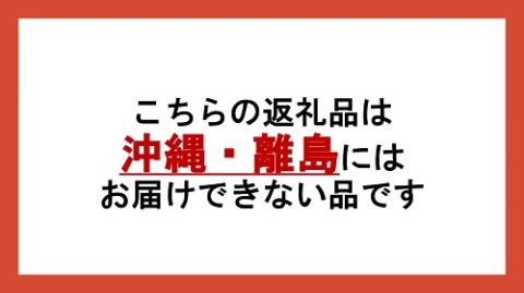 [1107]信州飯綱町産　シードル 【中辛＆辛口】 2本セット（各750mL） ※沖縄および離島への配送不可　長野県飯綱町