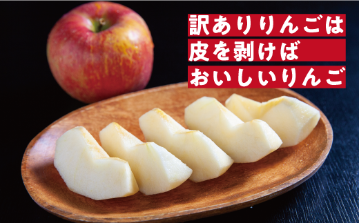 【12月11日締切】りんご サンふじ 10kg （ 24～50玉 ） 訳あり 「 いいづな光選りんご 」 光センサー選果 2024年 令和6年 収穫分 R6年12月～R7年1月発送 長野県 飯綱町 いいづな 光選 りんご《沖縄県への配送不可》 [1904]