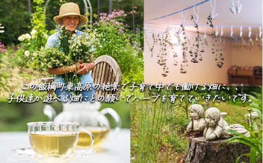 コーディアル 1本 + ハーブティー 1袋 種類おまかせ 飯綱ハーバルブリーズ 長野県 飯綱町 [1928]