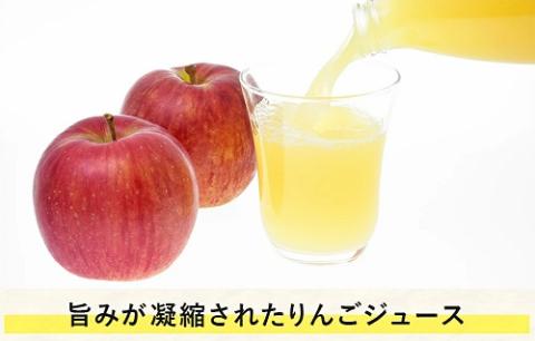 [1432]信州 飯綱町産　りんごジュース　1000mL×6本　果汁100％　※沖縄および離島への配送不可　カネツ農園　エコファーマー認定　長野県飯綱町
