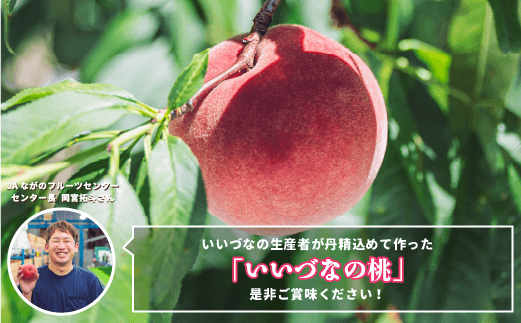 桃 5kg 訳有 先行予約 2025年 秀品 品種おまかせ 白鳳 , あかつき , なつっこ , いずれか1品種 光センサー選別品 配送本州限定 2025年8月上旬～下旬発送 長野 飯綱 [0055]