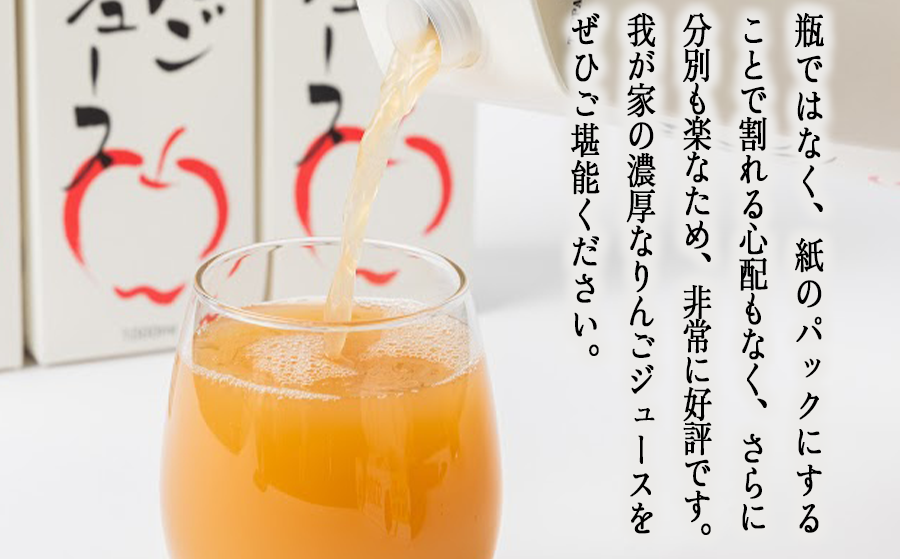 りんごジュース 1000ml × 12本 無添加 酸化防止剤不使用 果汁100% 紙パック アグリファーム小林 信州の環境にやさしい農産物認証 飲料 果汁飲料 りんご リンゴ 林檎 ジュース 信州 30500円 農家直送 長野県 飯綱町 [1697]