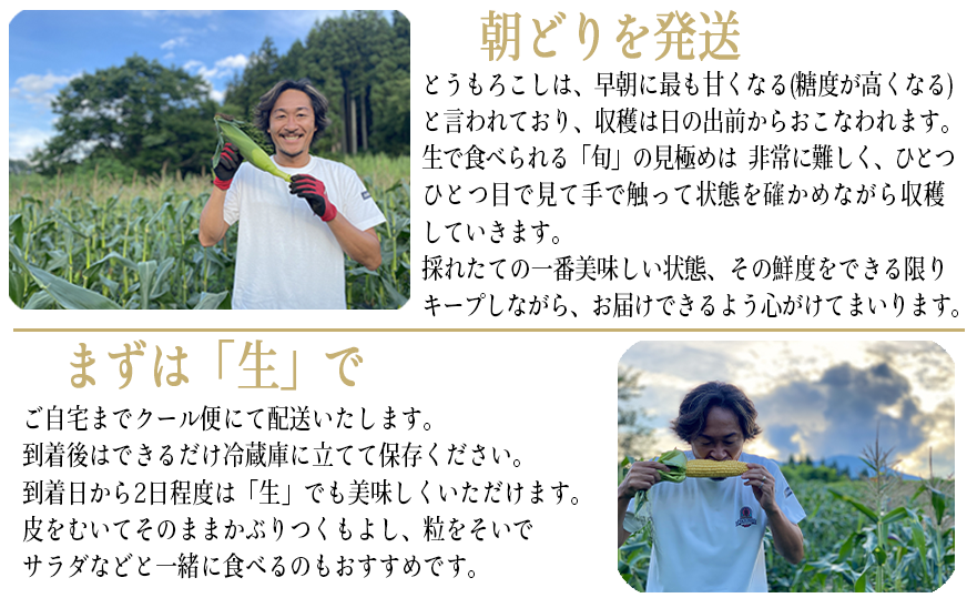 [ クール便 / 冷蔵便 ] 【 NAO's FARM 】 生で食べられる とうもろこし × 10本 2025年7月下旬頃から2025年8月中旬頃まで順次発送予定 令和7年度収穫分 株式会社みみずや 元サッカー日本代表 石川直宏 なおもろこし 信州 野菜 甘い トウモロコシ コーン とうきび 産地直送 長野 24000円 予約 長野県 飯綱町 [1716]