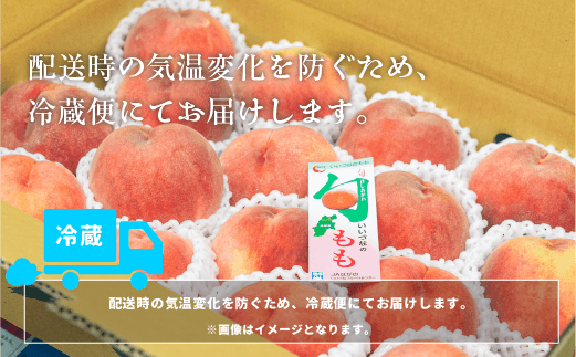 桃 グルメ 5kg （ 川中島白桃 ） 糖度13度以上 光センサー選別品 配送先は本州限定 日時指定および不在指定不可 長野県 飯綱町 [0056]